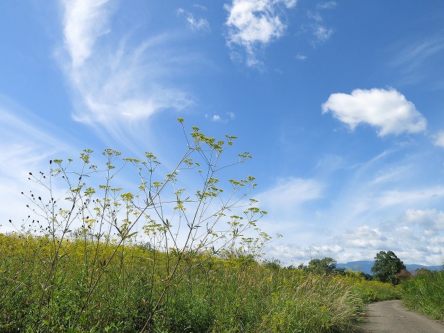 イベント情報