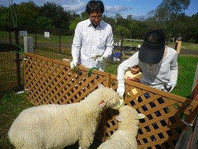 イベント情報
