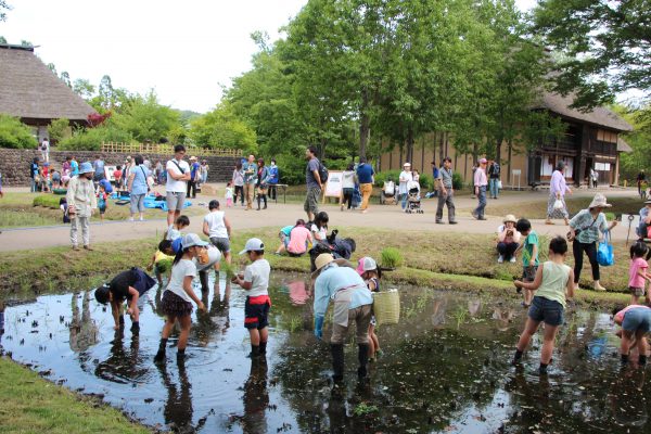 イベントブログ みちのく公園