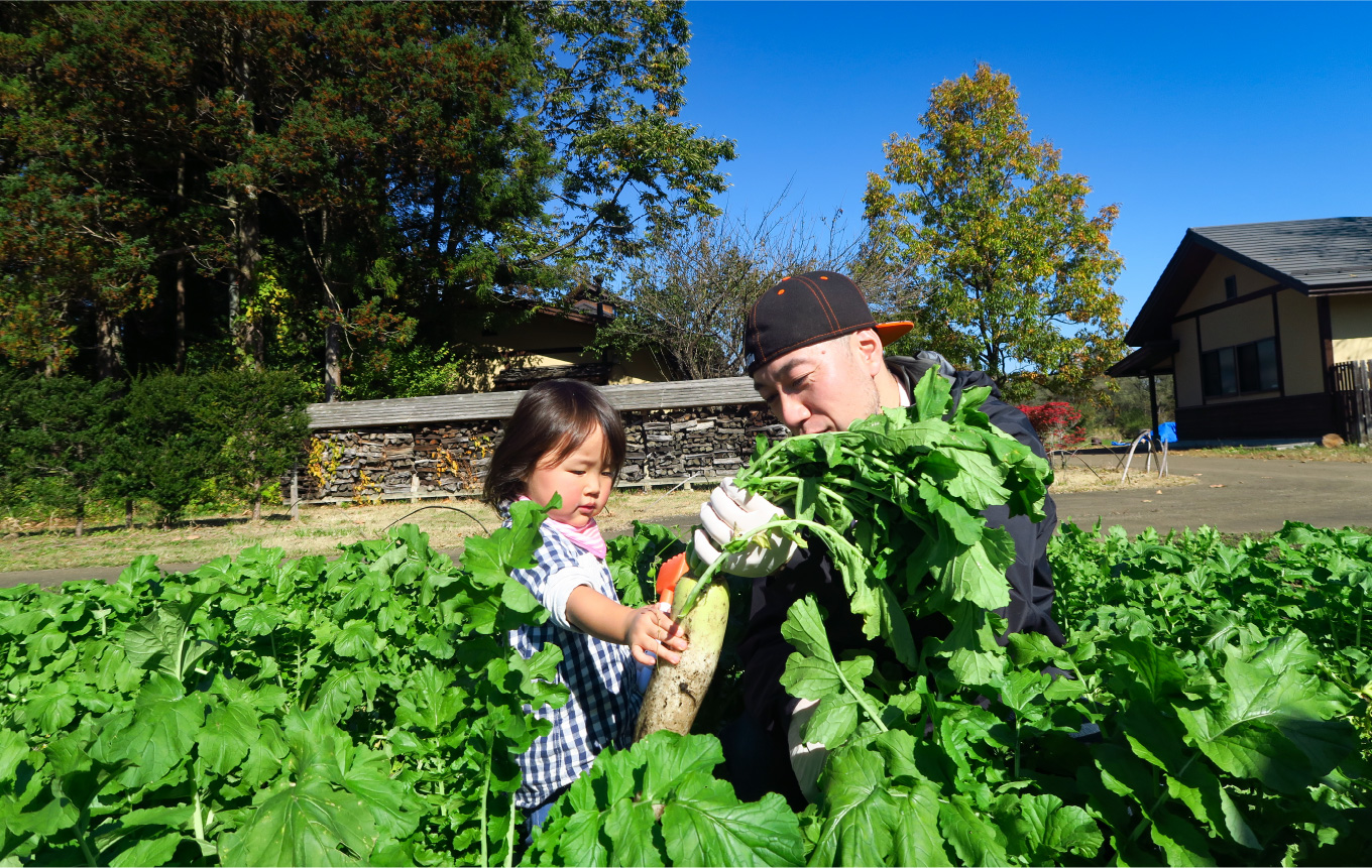 新鮮お野菜収穫体験