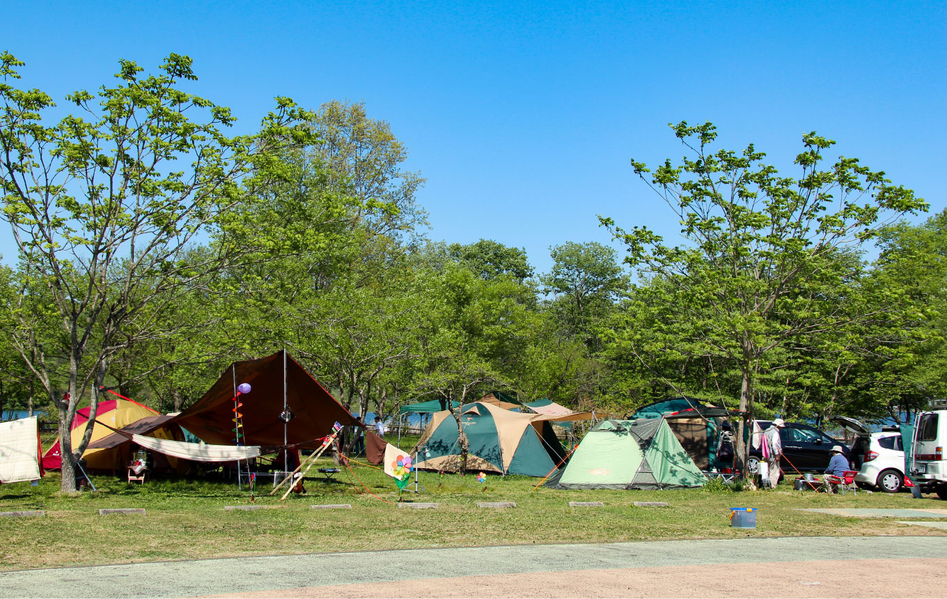 エコキャンプみちのく