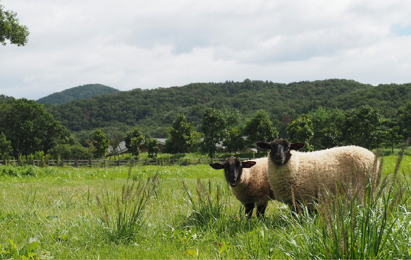 みちのく自然共生園