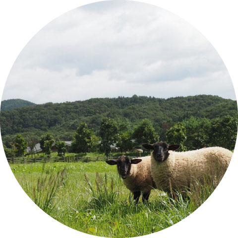 みちのく自然共生園