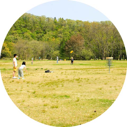 風の草原