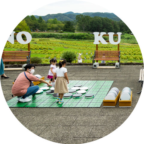 大型テーブルゲーム