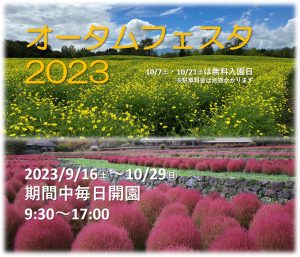 オータムフェスタ2023開催します アイキャッチ画像