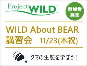 〔参加募集〕WILD About Bear講習会 アイキャッチ画像
