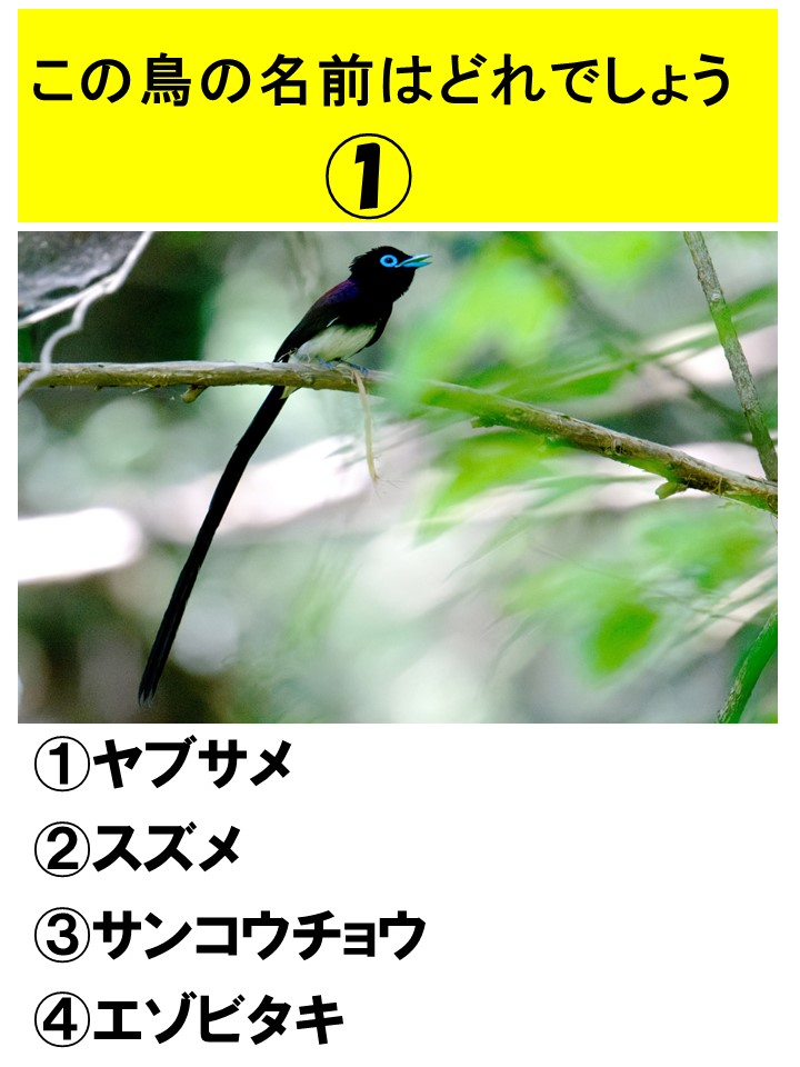 里山野鳥クイズラリー イメージ画像1