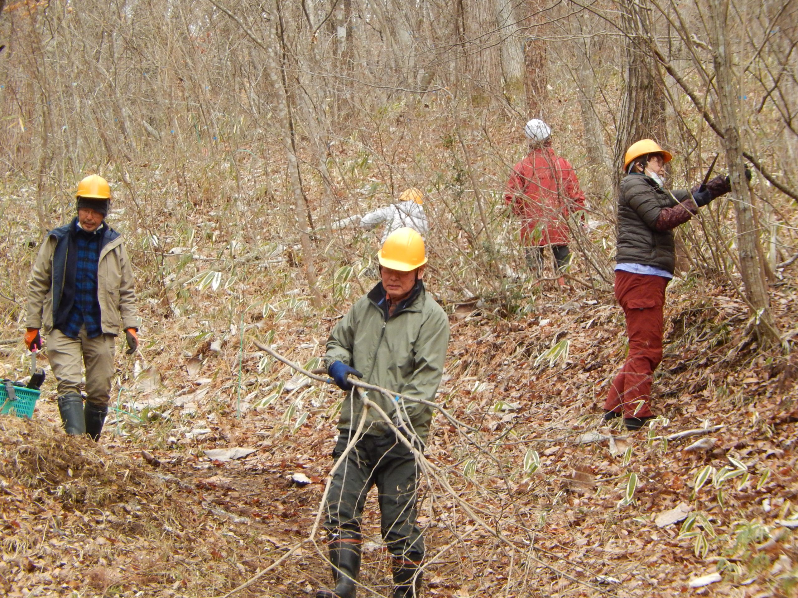 里山の森を守ろうボランティア イメージ画像1