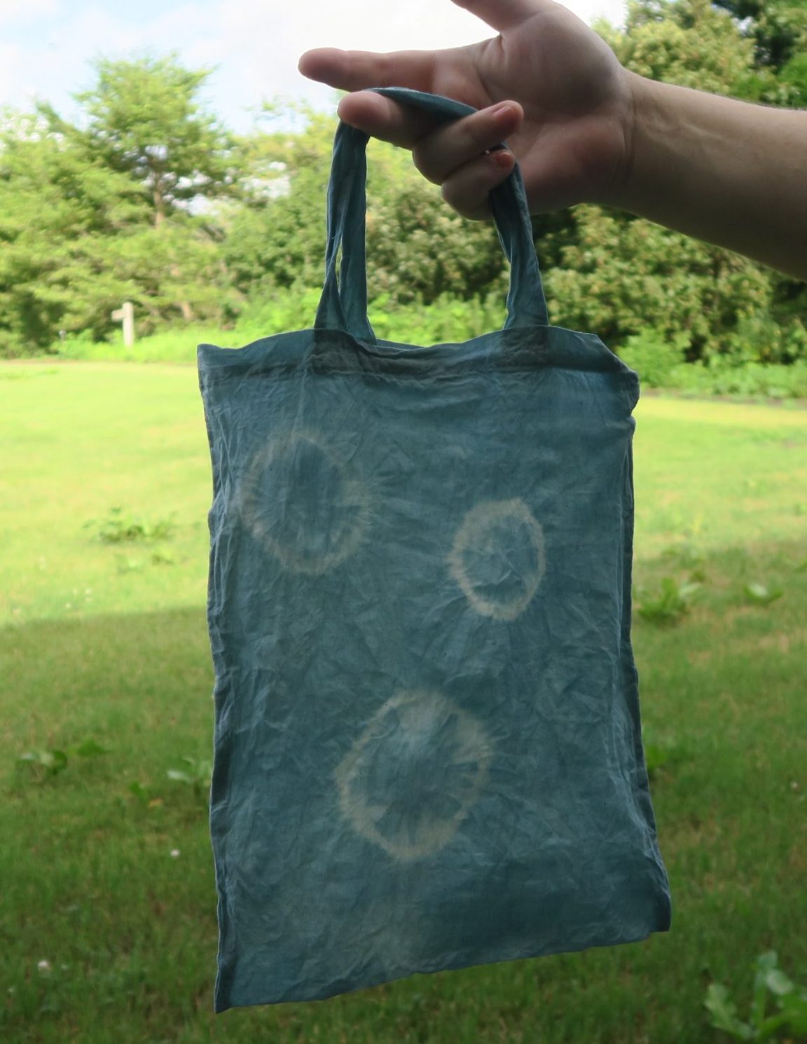 畑のアイで生葉染め体験 イメージ画像2