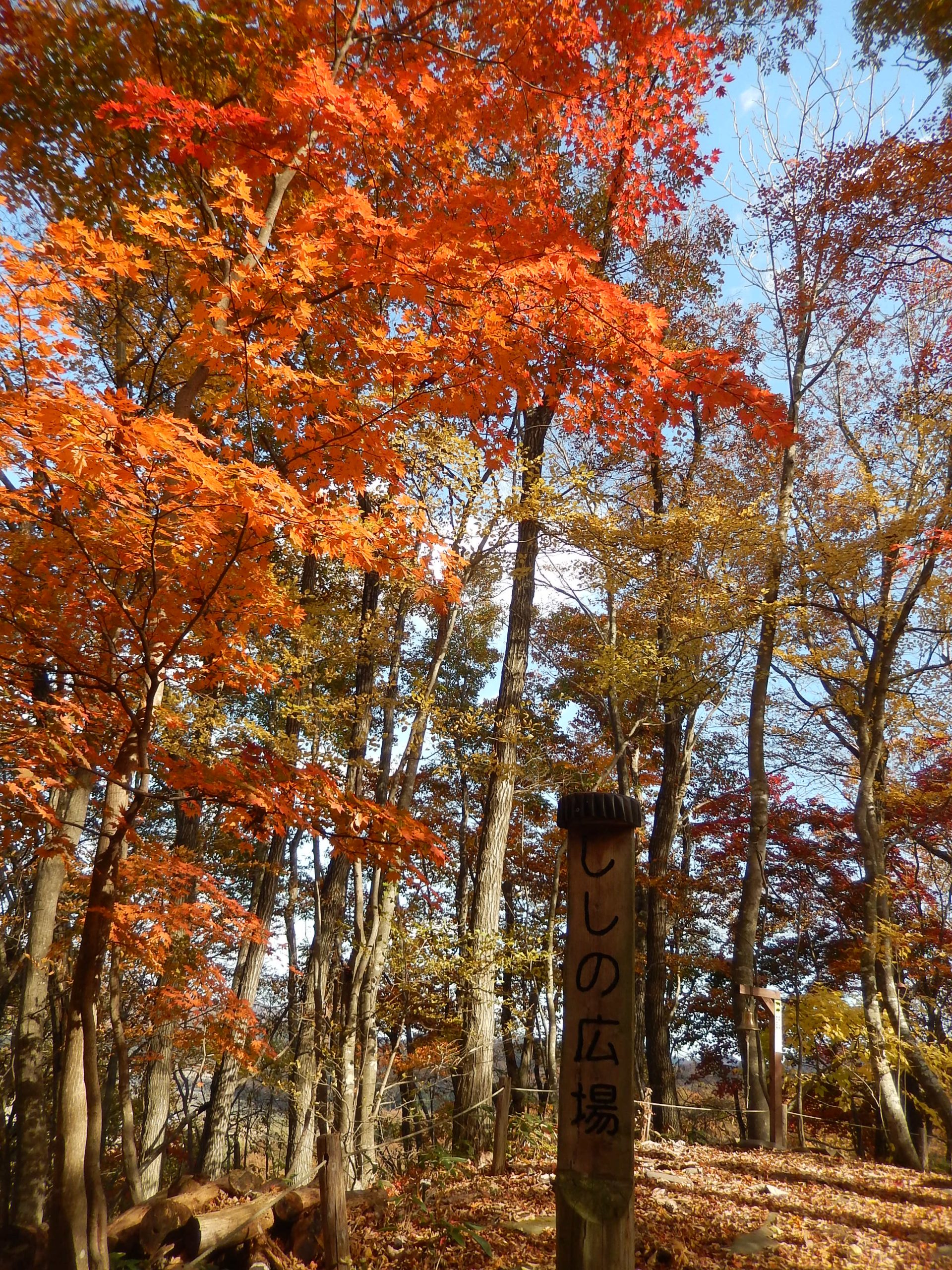 里山地区 紅葉クイズラリー イメージ画像1