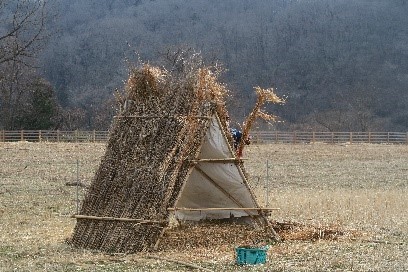 ヒツジ小屋の冬じたく イメージ画像1