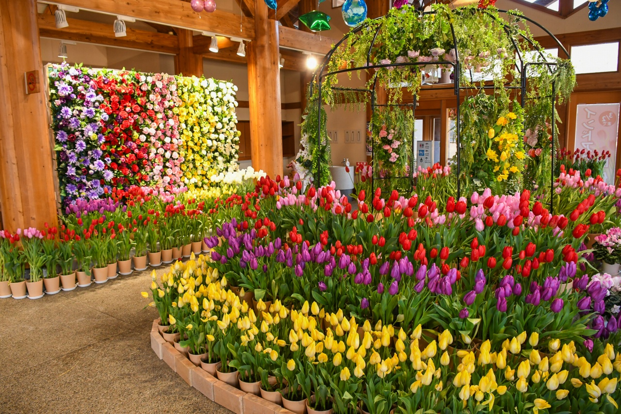 インドアガーデン（2026年） イメージ画像1