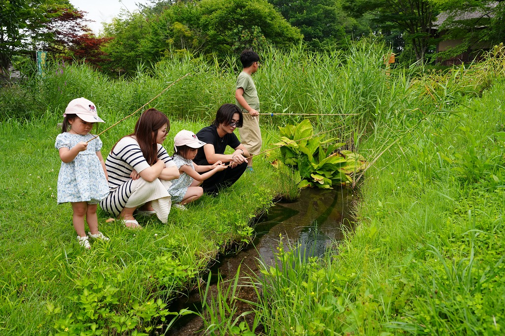 自然であそぼう！7月「ザリガニ釣り」 イメージ画像3