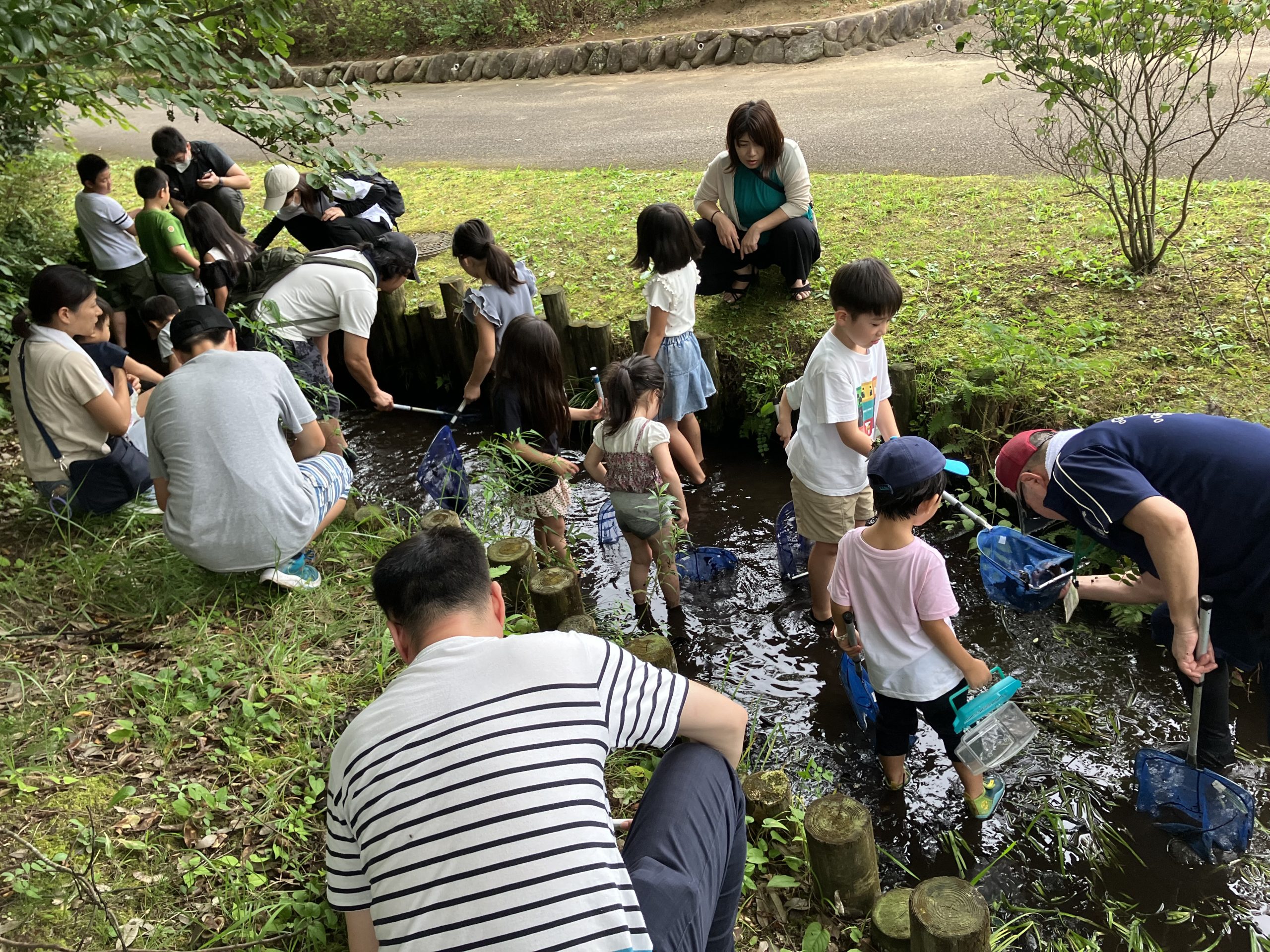 自然であそぼう!8月「水辺の生きもの探し」 イメージ画像3