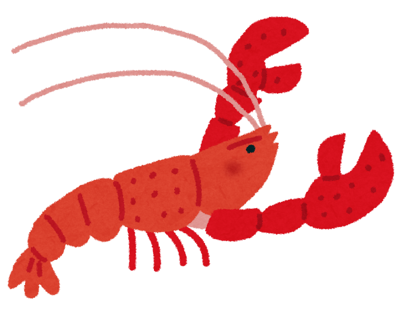 アメリカザリガニを獲ろう イメージ画像1