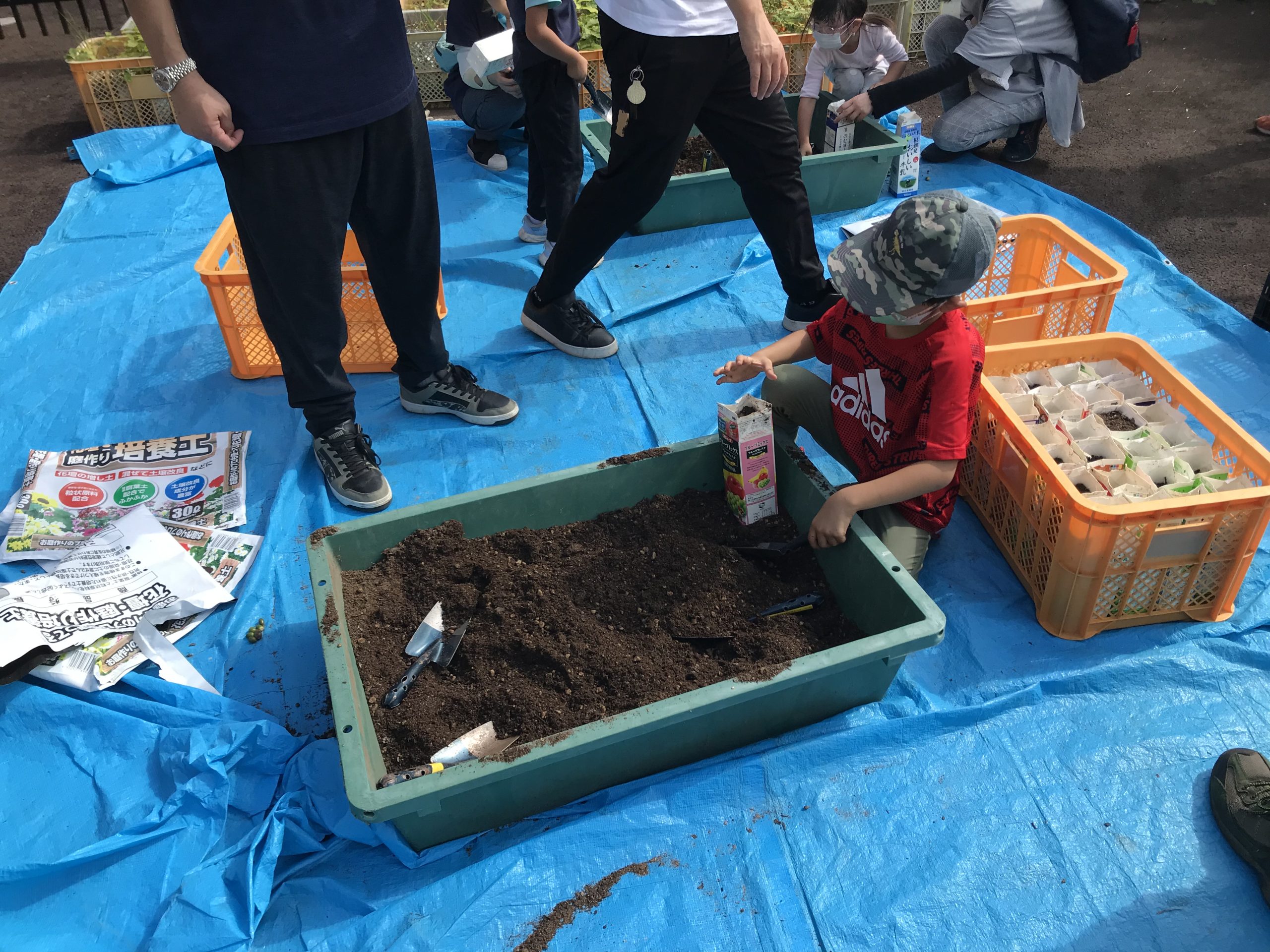 森の楽校 栗ご飯とどんぐりの苗づくり体験 イメージ画像3