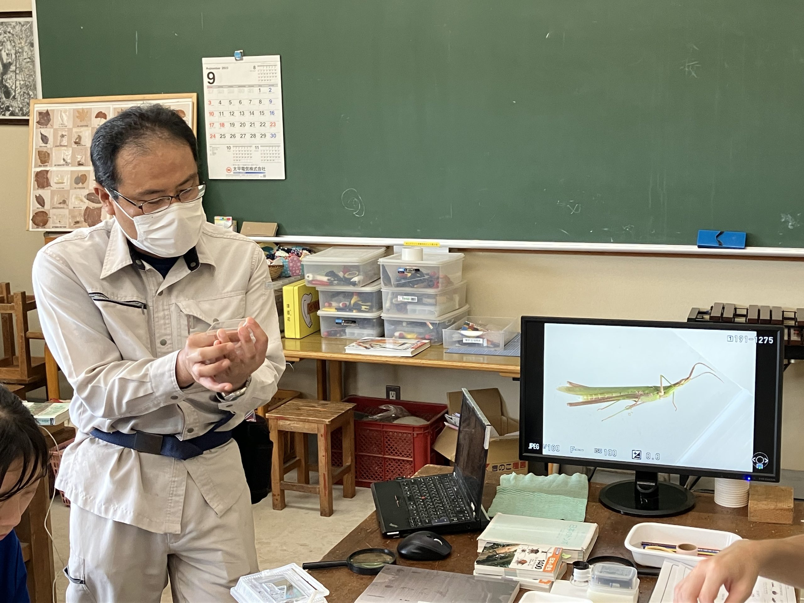 むかっち博士と秋の虫を探そう! イメージ画像2