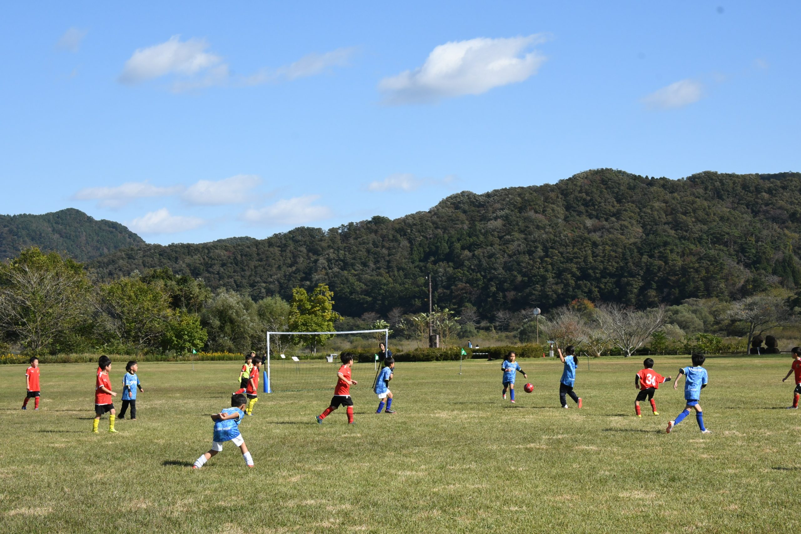 スポチャレ2025 in 国営みちのく杜の湖畔公園 イメージ画像1