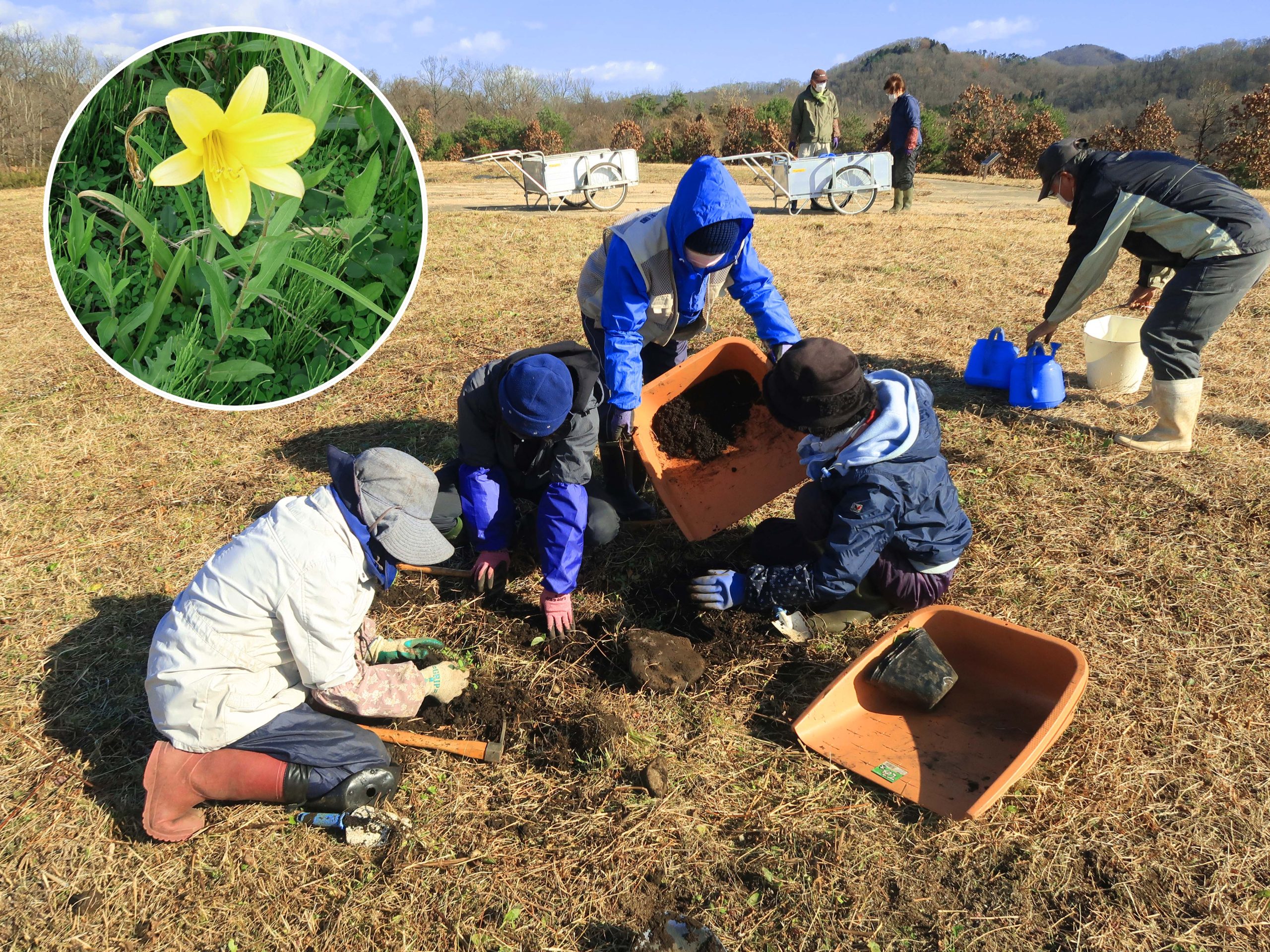 花野の草原をつくろう イメージ画像1