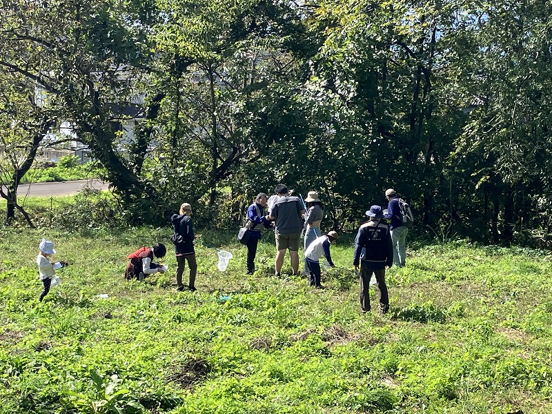 秋の生き物観察会 イメージ画像2
