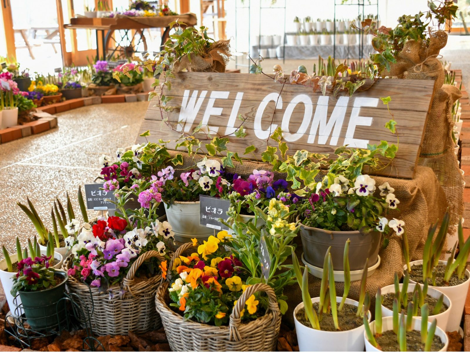 インドアガーデン（2026年） イメージ画像4