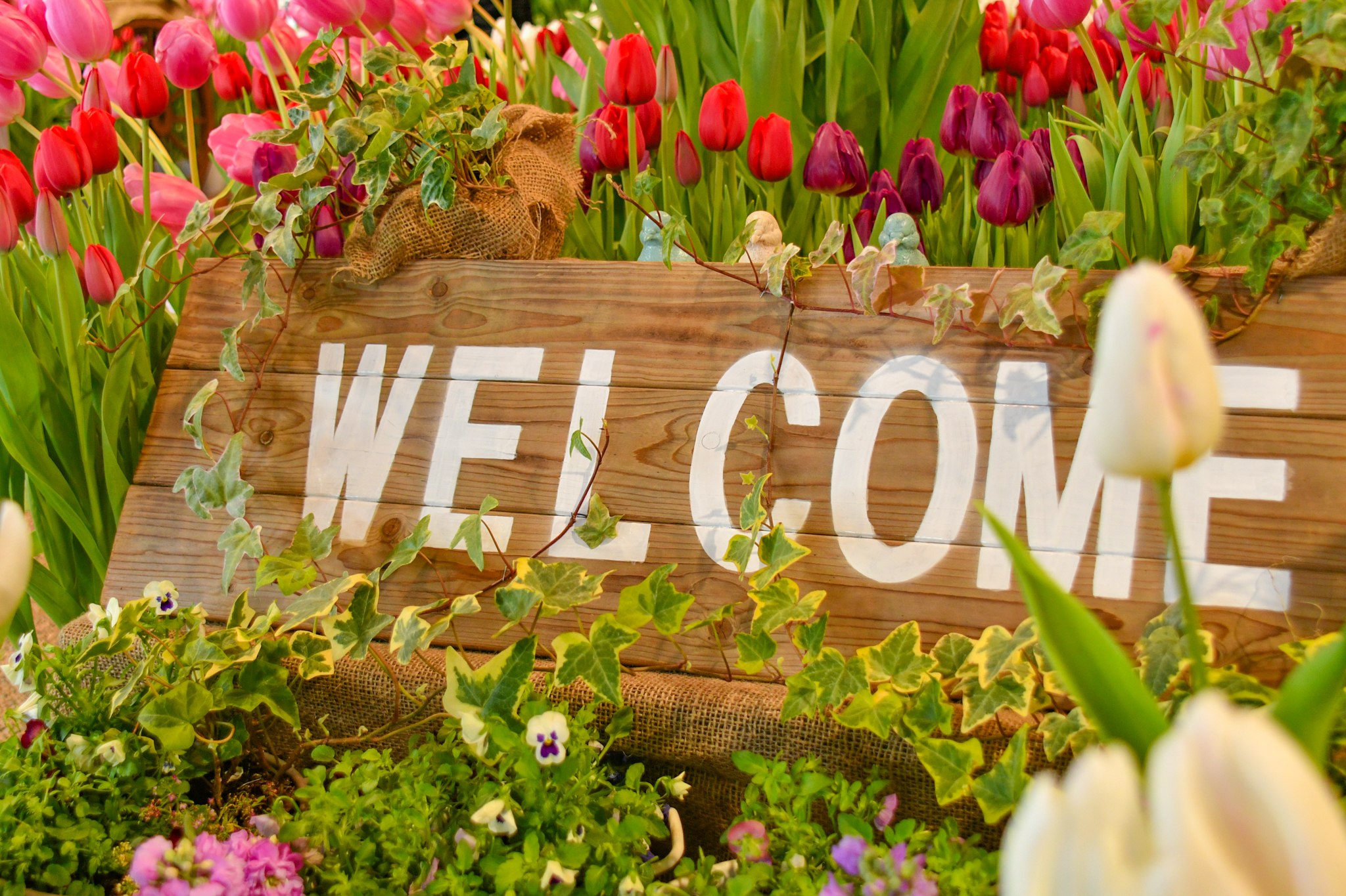 インドアガーデン（2026年） イメージ画像1