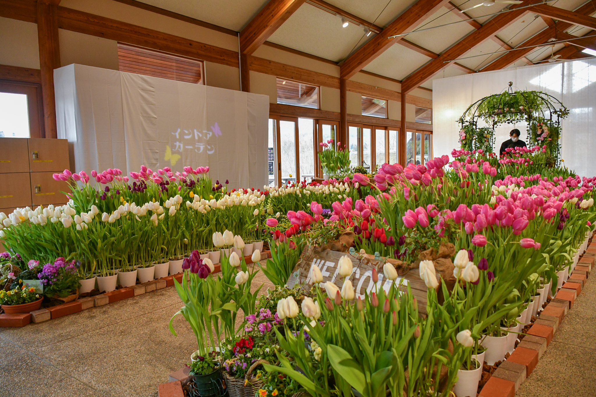 インドアガーデン（2026年） イメージ画像3