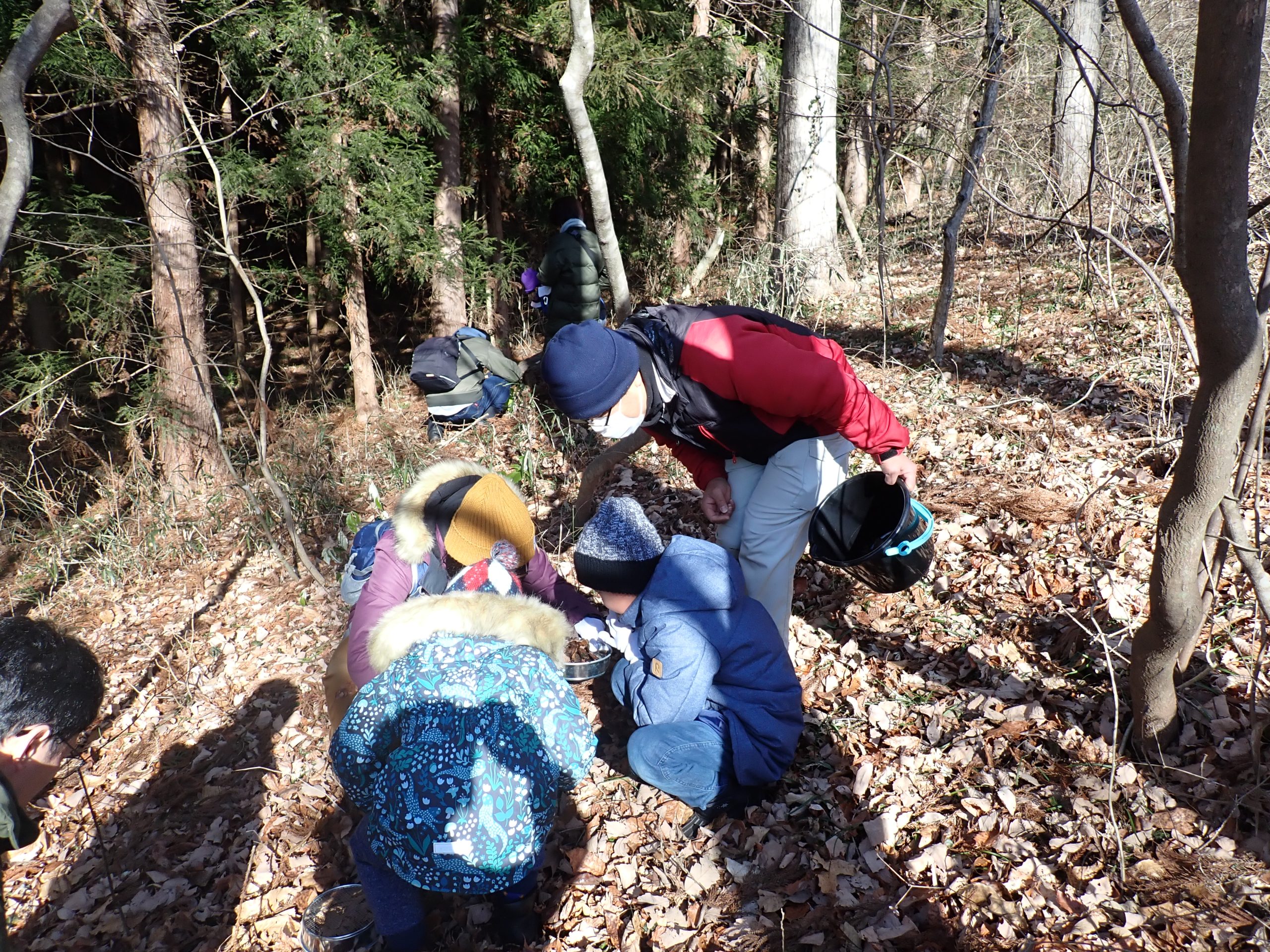 むかっち博士と落ち葉の下のいきもの探し イメージ画像1