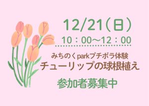 みちのくPARKプチボラ体験「チューリップの球根植え」 アイキャッチ画像
