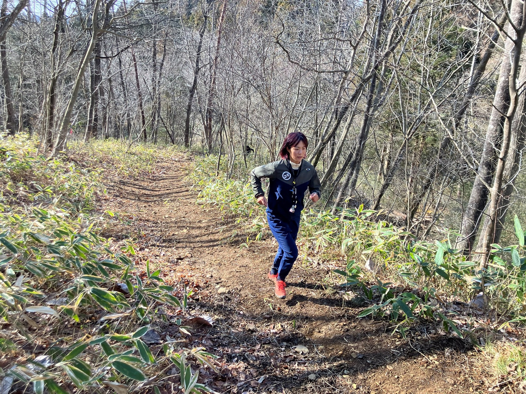 トレイルランニング教室　「記録にトライ」 イメージ画像1
