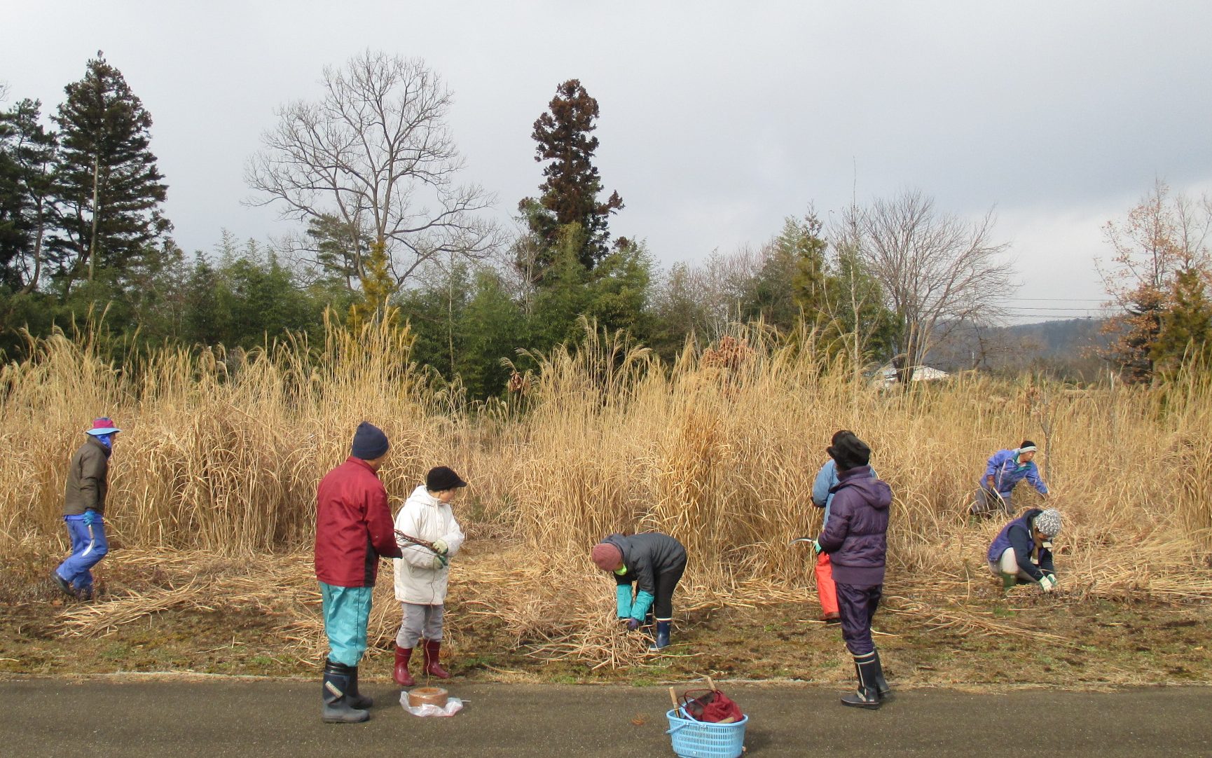 みちのくPARKプチボラ体験「ススキのわらぼっち作り」 イメージ画像1