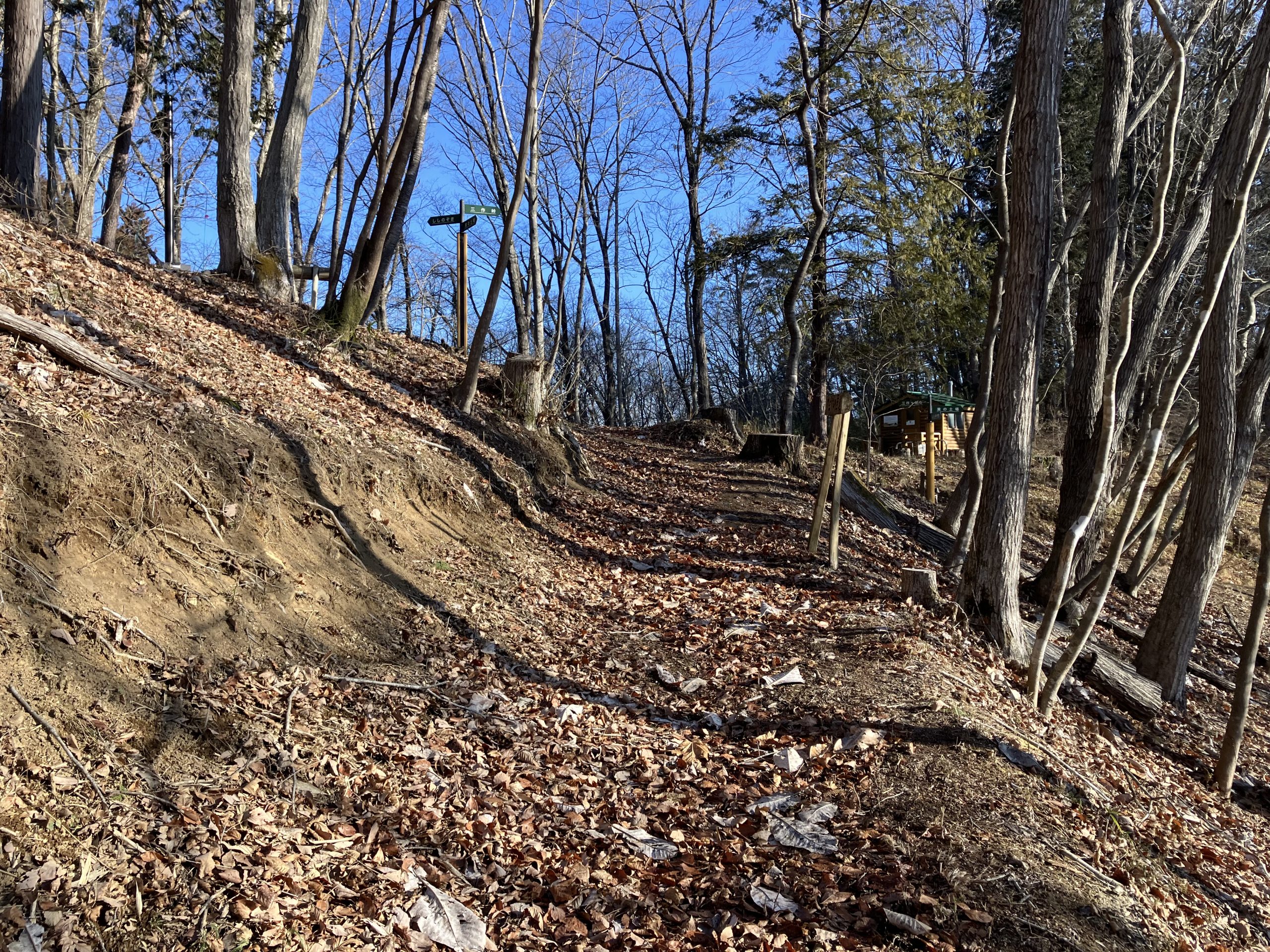 早春の里山自然観察 イメージ画像2