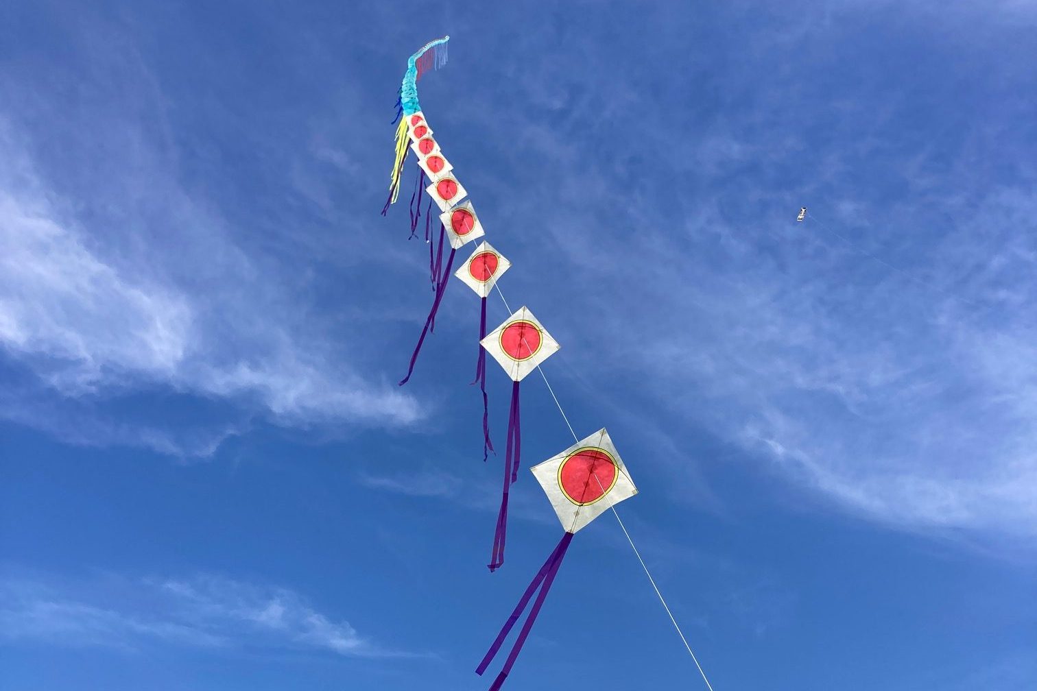 蔵王おろしで凧あげをしよう イメージ画像1