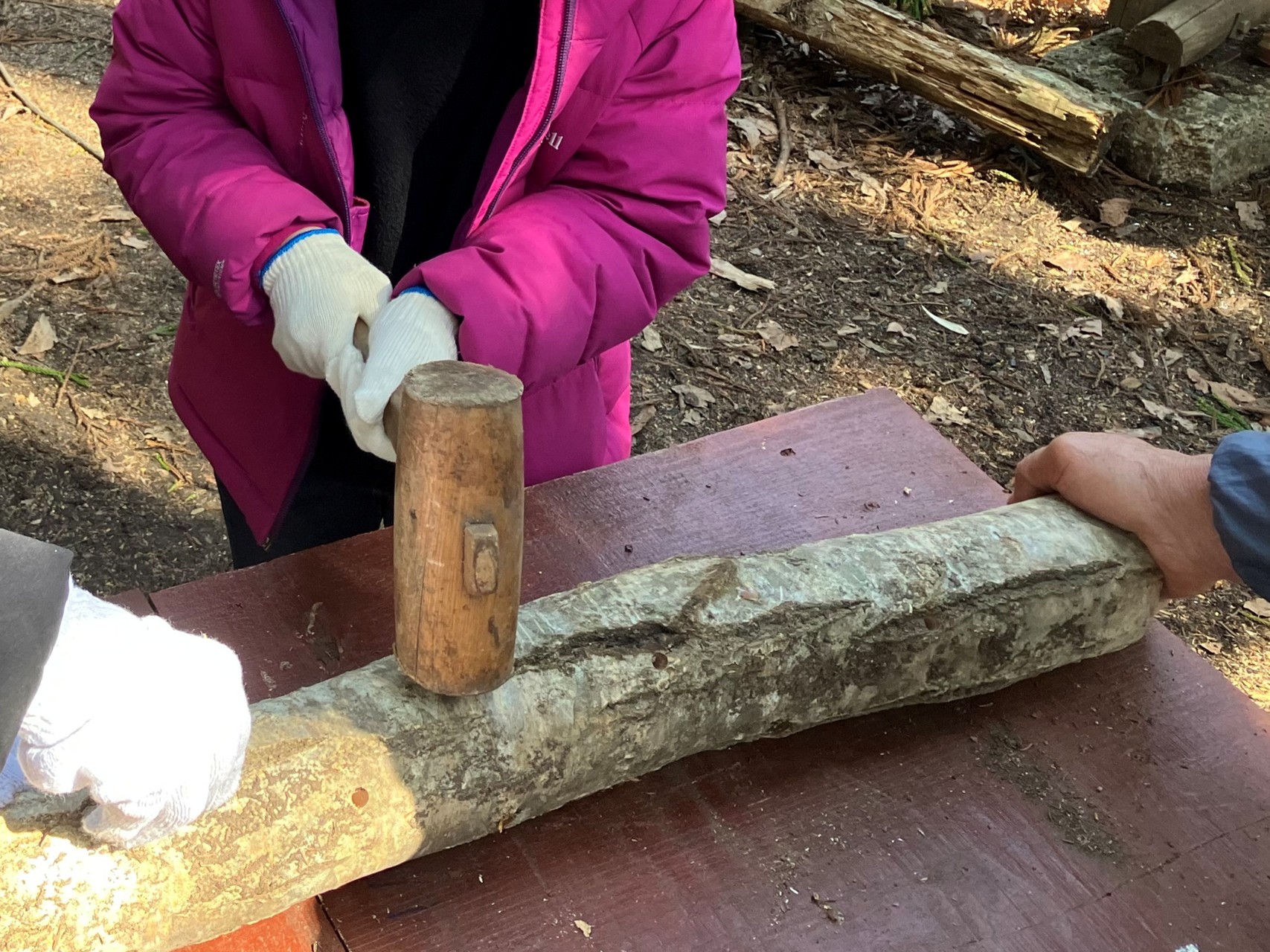 森の学校　キノコのコマ打ち＆キノコの料理 イメージ画像1