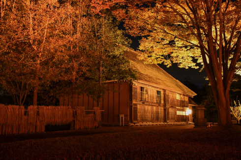 秋灯り イメージ画像