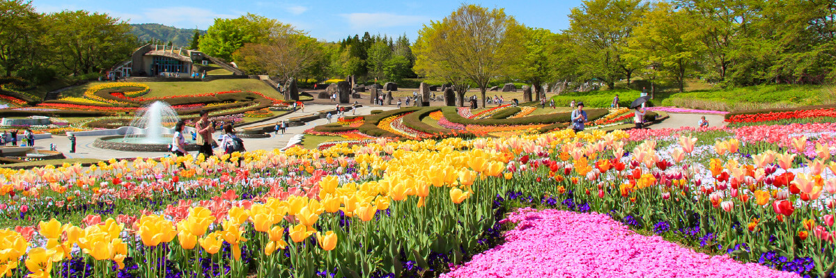 みちのく公園の春 – みちのく公園 | 東北の自然と文化が体験できる国営公園