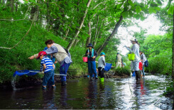 【家族向け】虫や魚を観察する