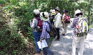 【大人向け】自然や野草を観察しよう