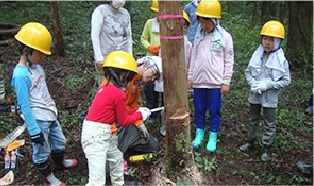 【家族向け】木こり体験をしてみよう